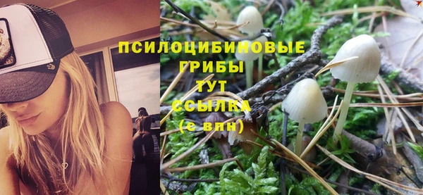 скорость Пересвет