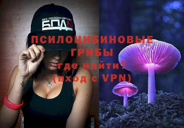 ALPHA PVP Пролетарск