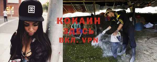 ALPHA PVP Пролетарск