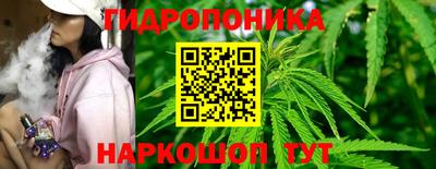 гидропоника Берёзовский