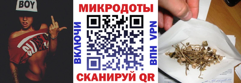 Галлюциногенные грибы Psilocybe Владикавказ