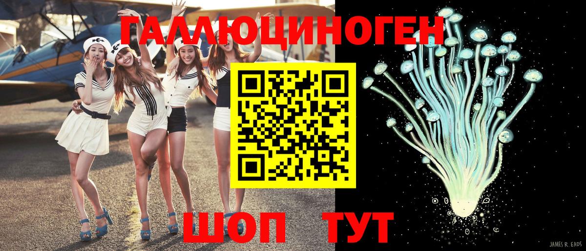 цена наркотик  Псилоцибиновые грибы Psilocybe  Вход с VPN  Владикавказ 