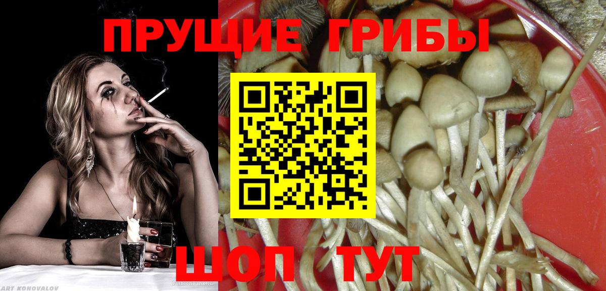 Псилоцибиновые грибы мицелий  Владикавказ 