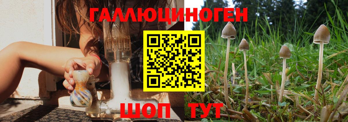 Галлюциногенные грибы прущие грибы Владикавказ