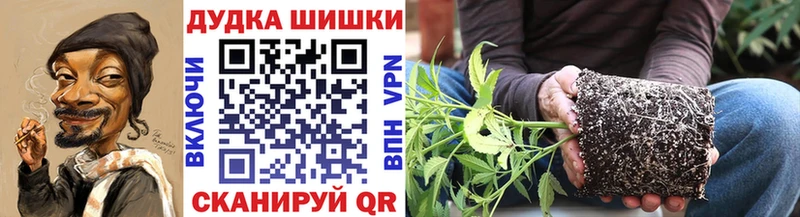 Бошки марихуана AK-47  как найти   блэк спрут ссылка  Владикавказ 
