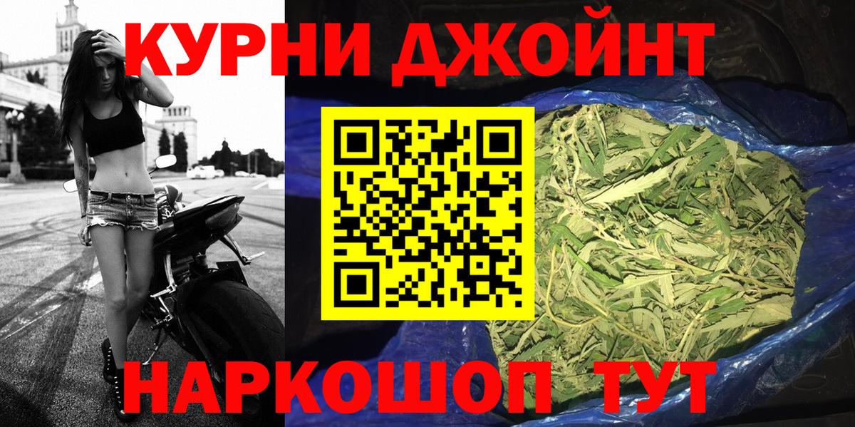 Каннабис сатива  Владикавказ  Канабис планчик 